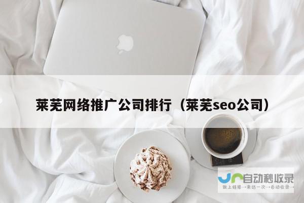 莱芜网站推广